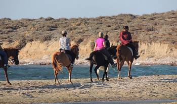 Naxos horse riding